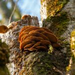 월급쟁이 재테크: 매달 50만원 만들기 실전 전략 완벽 가이드: 초보자부터 전문가까지