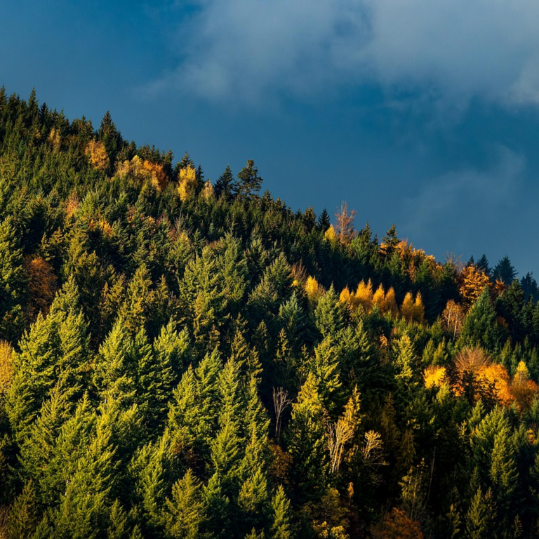 부업으로 월 100만원 만들기 실전 강의 완벽 가이드: 초보자부터 전문가까지