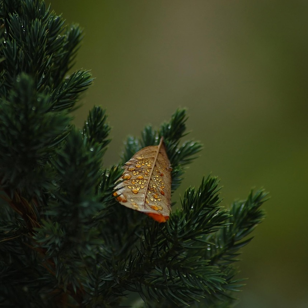 현재 상황 한눈에 보기 설명 이미지
