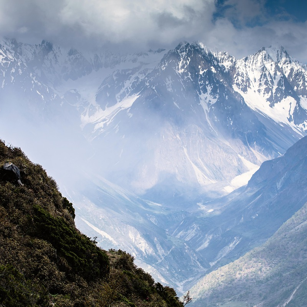영끌투자 위험성과 대처법 관련 이미지