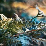 투자 초보가 꼭 알아야 할 재무제표 해석법 완벽 가이드: 초보자를 위한 안내서