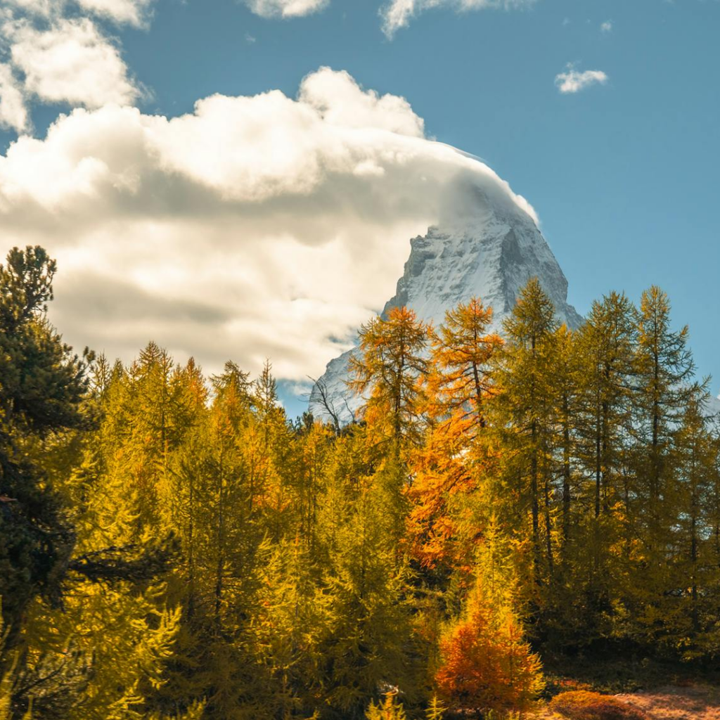 부동산 vs ETF 수익률 비교 완벽 가이드: 초보자를 위한 안내서
