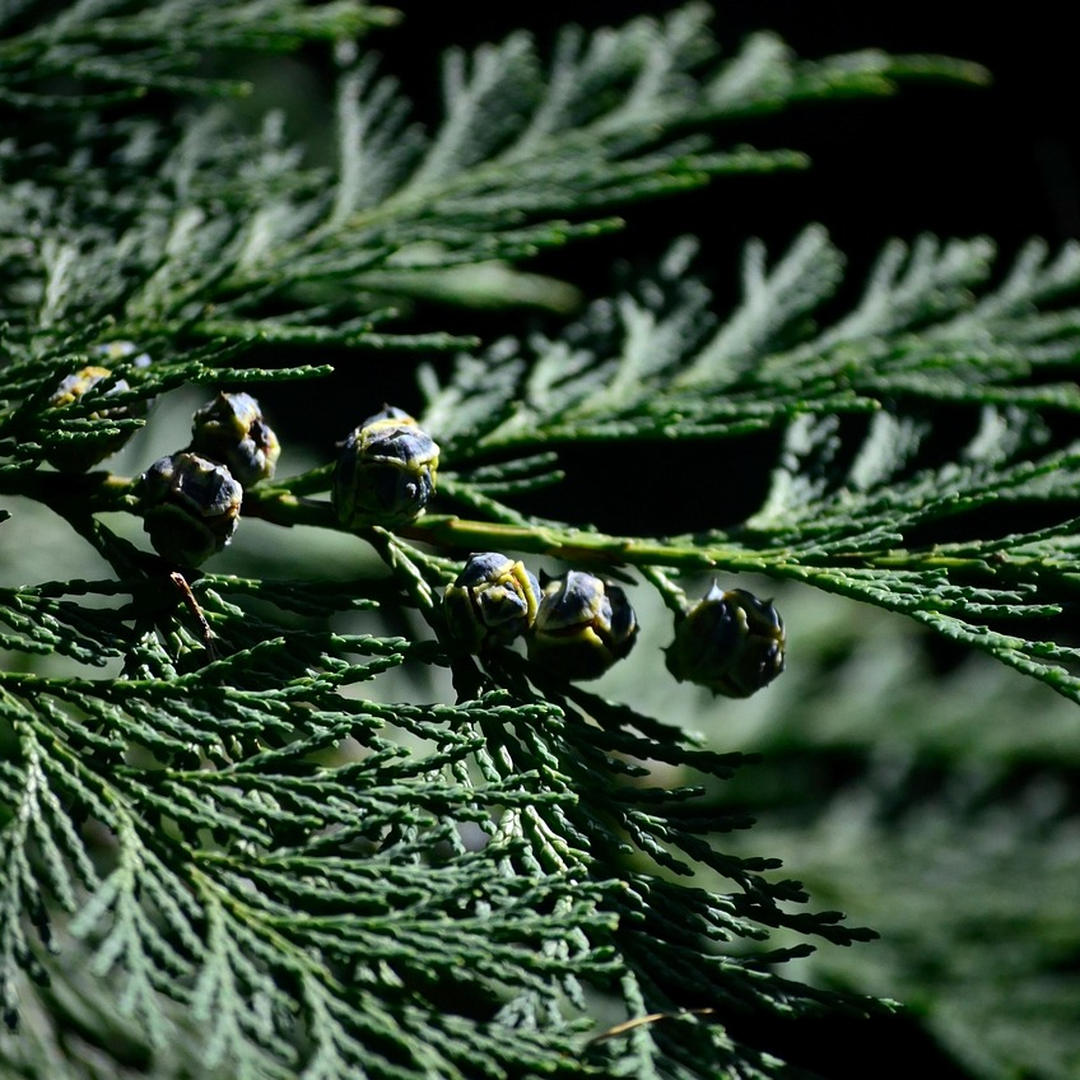 P2P투자 리스크와 관련 대표 이미지