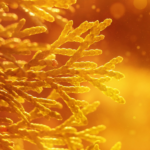 P2P투자 리스크와 수익 정리 실무 활용법과 베스트 프랙티스