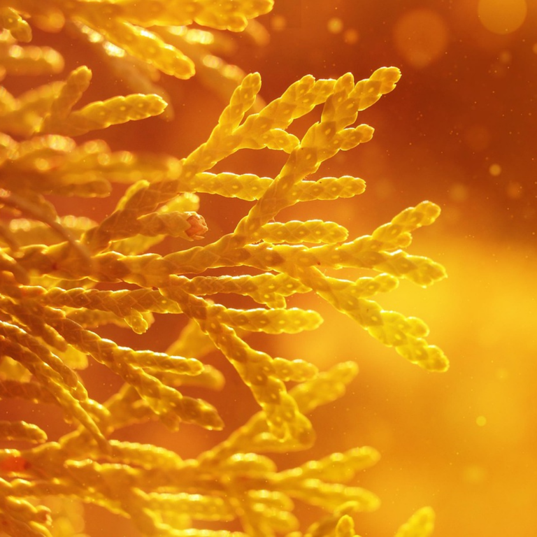 P2P투자 리스크와 수익 정리 실무 활용법과 베스트 프랙티스