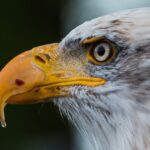 환율과 해외투자: 당신이 몰랐던 진실 완벽 가이드: 초보자부터 전문가까지