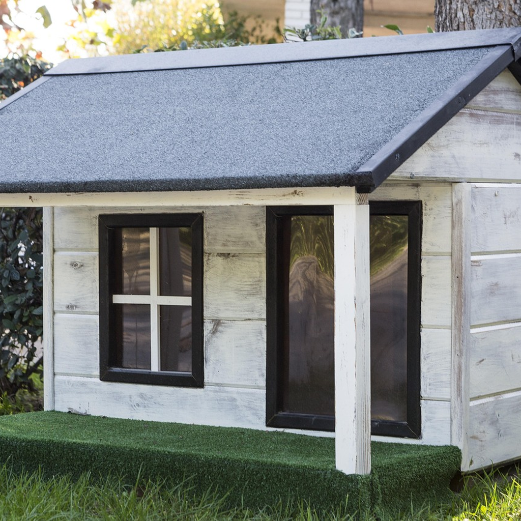 청년을 위한 관련 대표 이미지