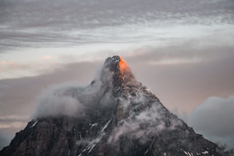 부동산 vs 주식: 2026년 승자는? 완벽 가이드: 초보자부터 전문가까지