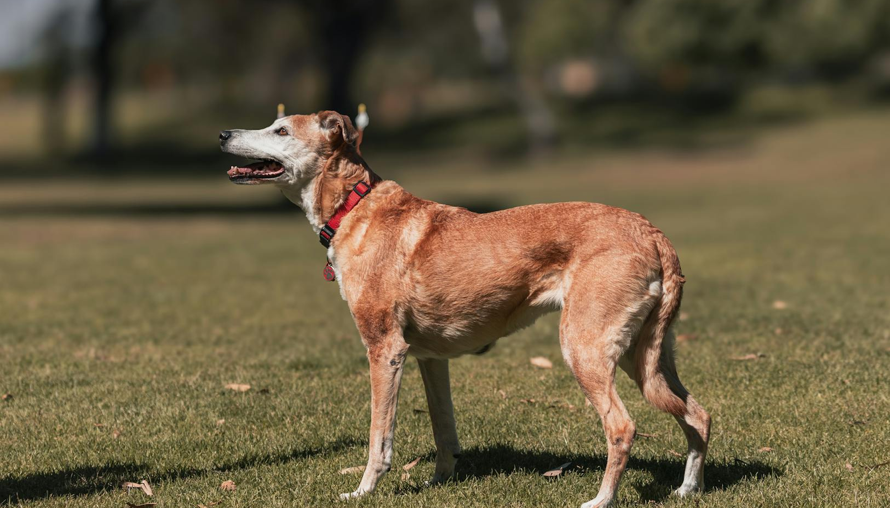 국가건강검진 병원 공식 채널 확인 방법