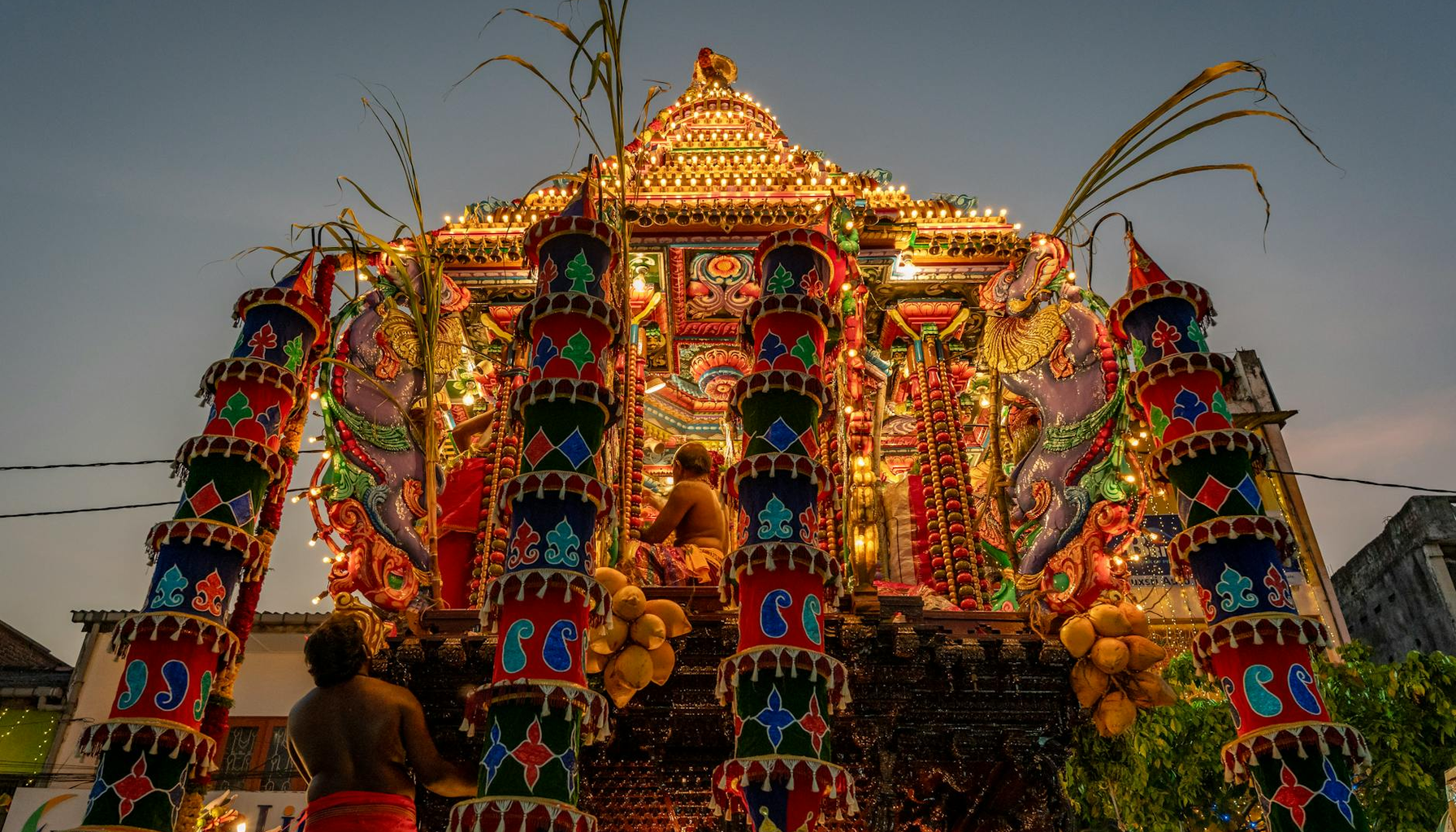 2026년 꽃가루 알레르기 무엇이 달라졌나